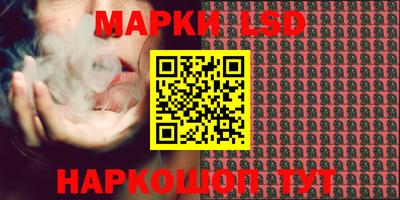 стафф Будённовск