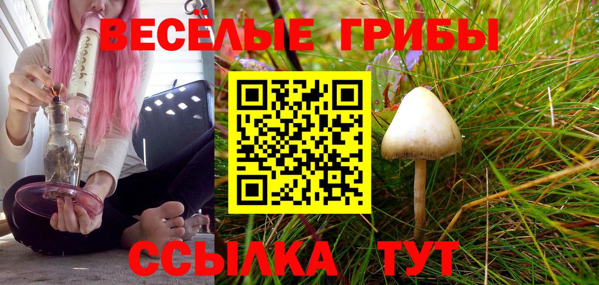 Псилоцибиновые грибы мицелий Подольск